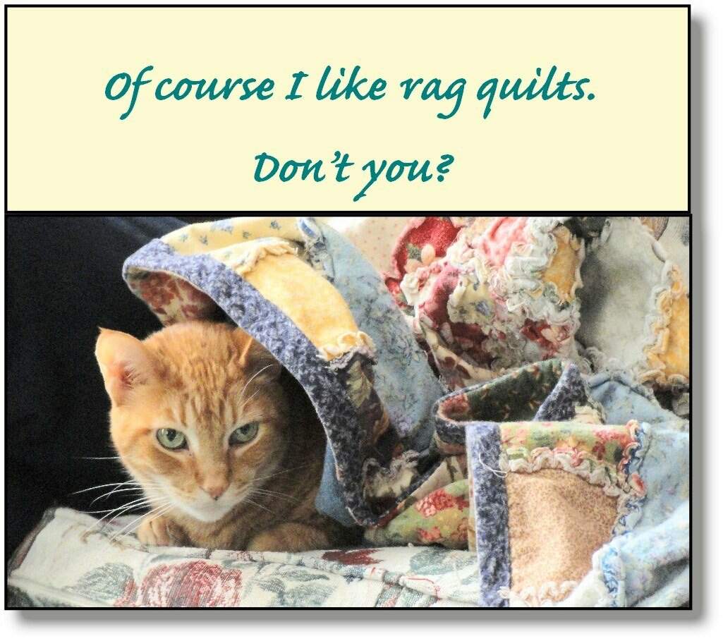 50+ Funny (and Wise) Quilting Memes to Share New Quilters