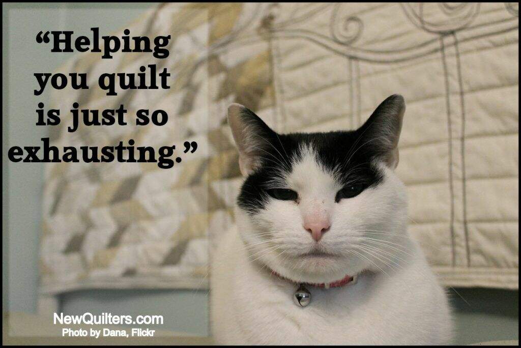 Funny quilting meme NewQuilters.com