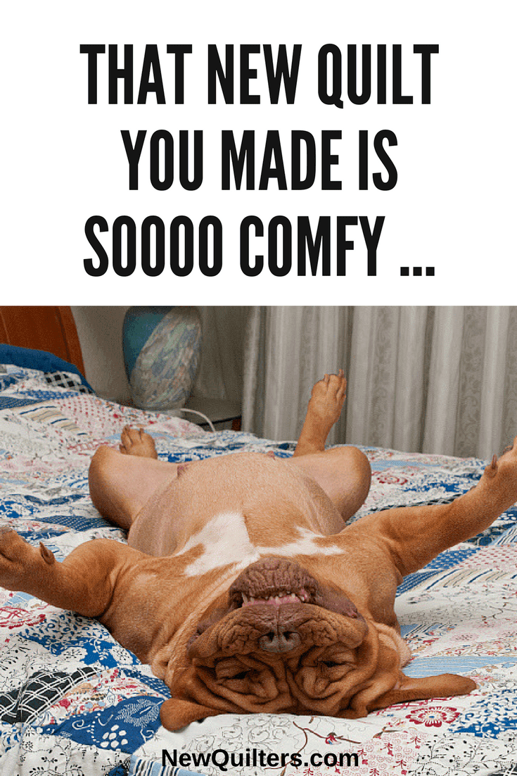 50+ Funny (and Wise) Quilting Memes to Share New Quilters